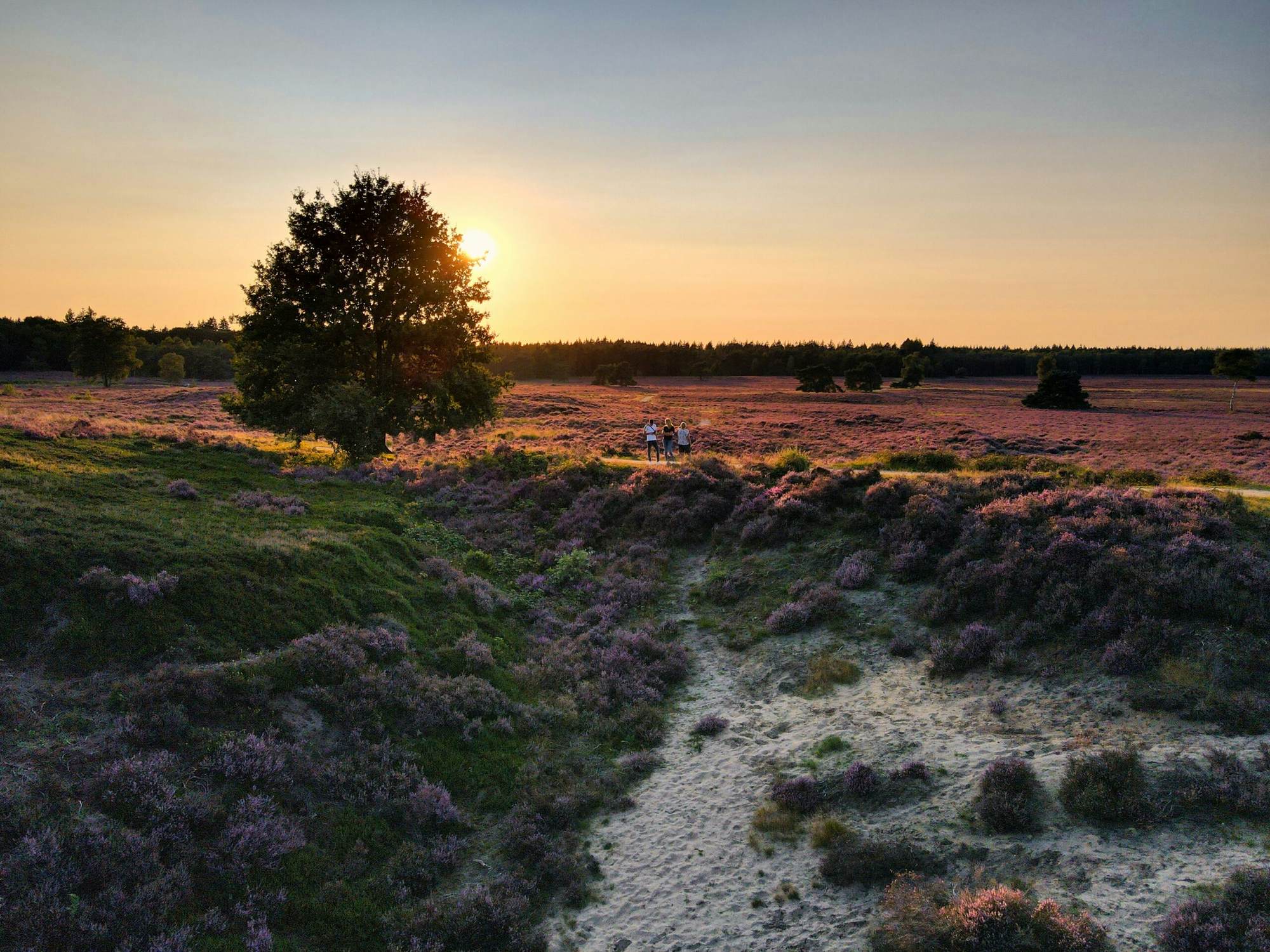 Microadventures Nederland op de hei in de avond na werk